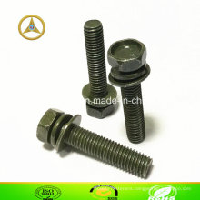 DIN6901 Hex Head Cap Bolt with Washer & Spring Washer, M8X40